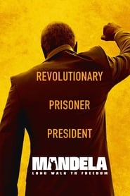 Mandela: Long Walk to Freedom (2013)