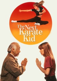 The Next Karate Kid (1994)