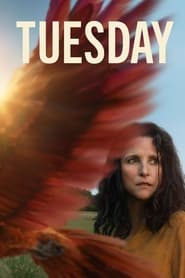 Tuesday (2024)